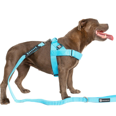Durable Dog Harness