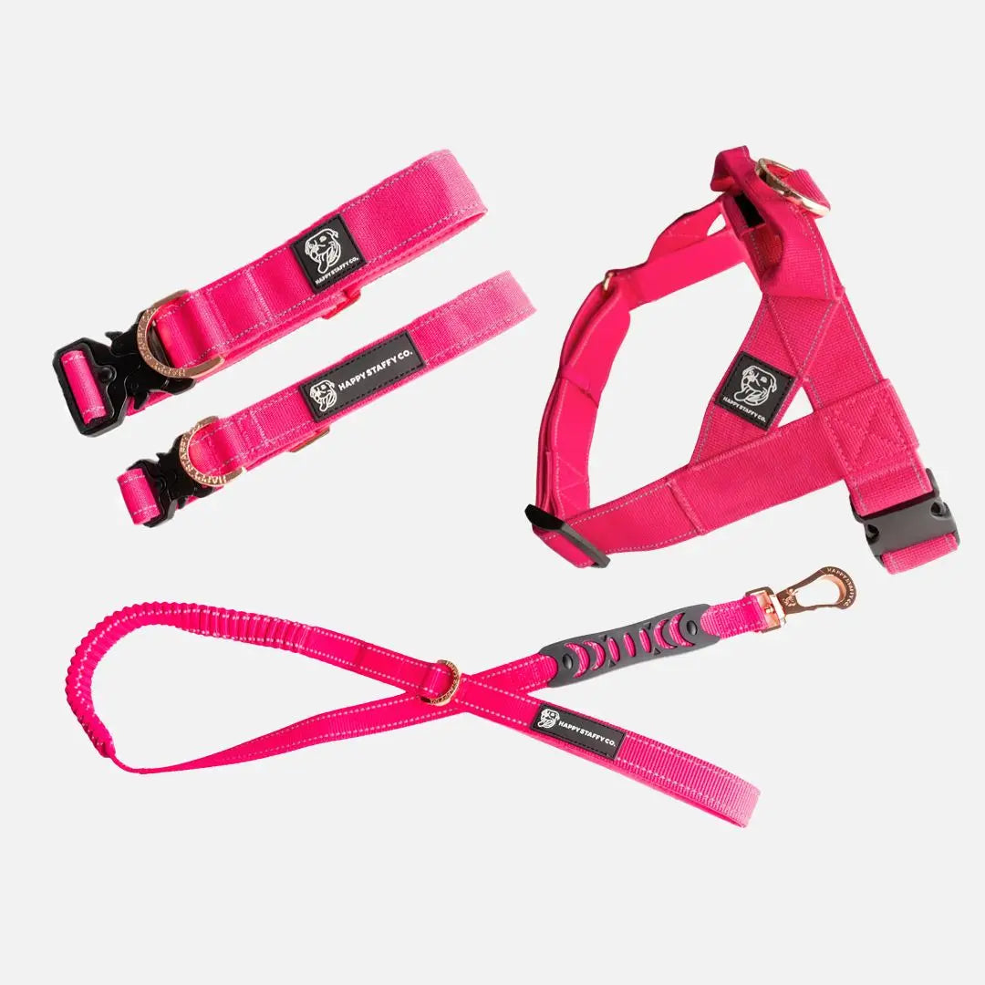 Walkies Starter Pack