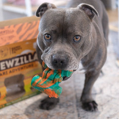 Chewzilla® Safari Collection
