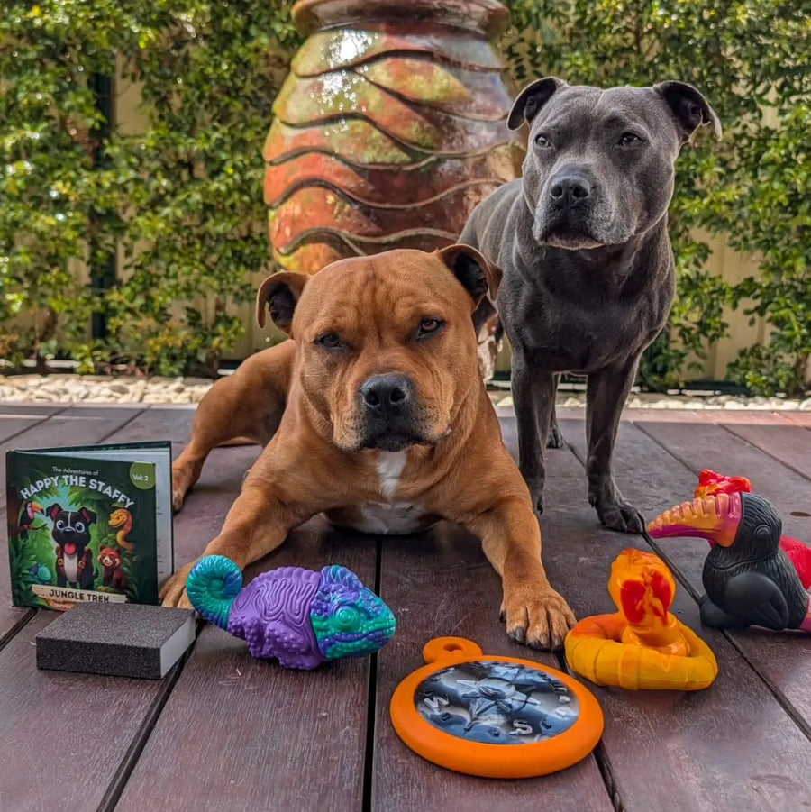 Two dogs with Chewzilla® X PowerFlex™ toy bundle displayed on deck