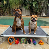 PowerFlex™ Jungle Trek Collection