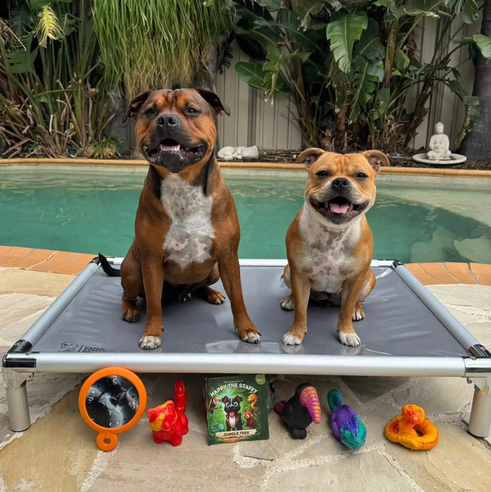 Two dogs with PowerFlex Jungle Trek toy collection outdoors
