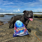 Chewzilla® Deep Sea Mission