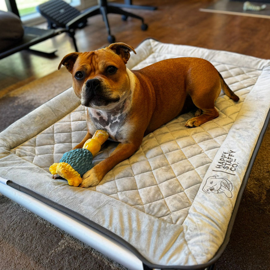 Chew-Proof Bed & Cover Bundle photo 9