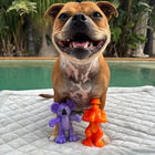 Chewzilla® Aussie Outback Collection
