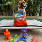 Chewzilla® Aussie Outback Collection