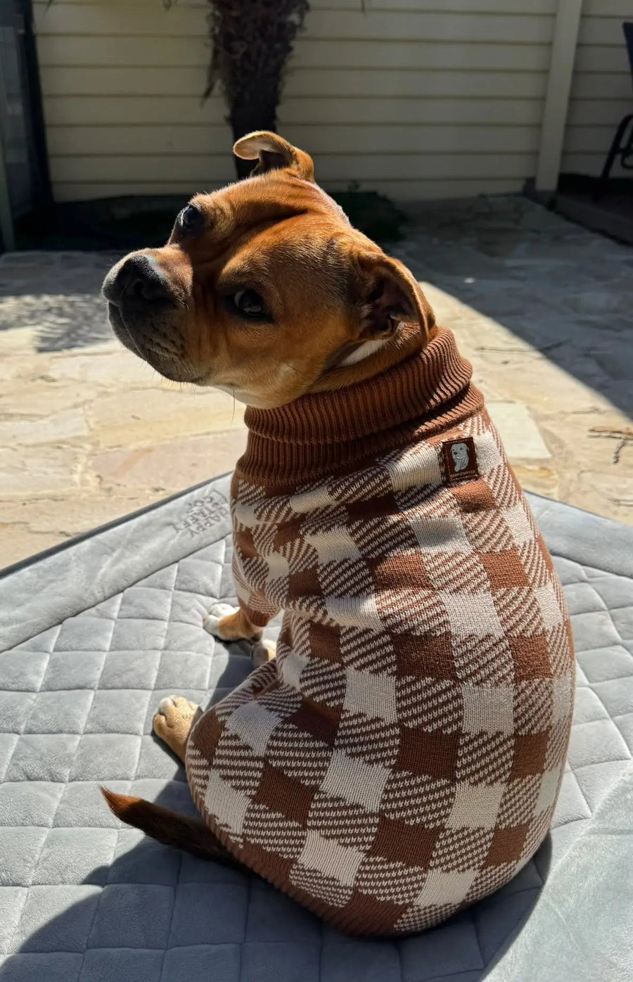 Cotton Dog Jumper photo 10