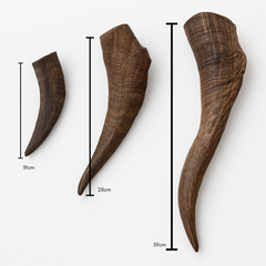Premium Goat Horns (Large & XL)