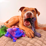 Chewzilla® Galactic Quest Collection