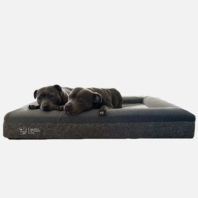 two dogs lying on a gray orthopedic dog bed on a white background