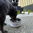 Happy Staffy Water Bowl
