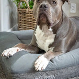 Deluxe Orthopedic Memory Foam Bed