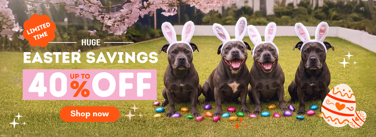 Banner- Happy Staffy Co
