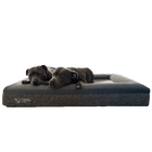 Two dogs lying on an Orthopedic Memory Foam Bed with transparent background for product use.