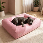 Orthopedic Memory Foam Bed & Linen Cover