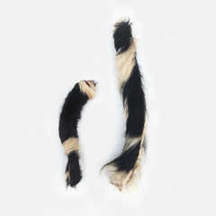 Long Lasting Hide Chew