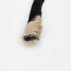 Long Lasting Hide Chew