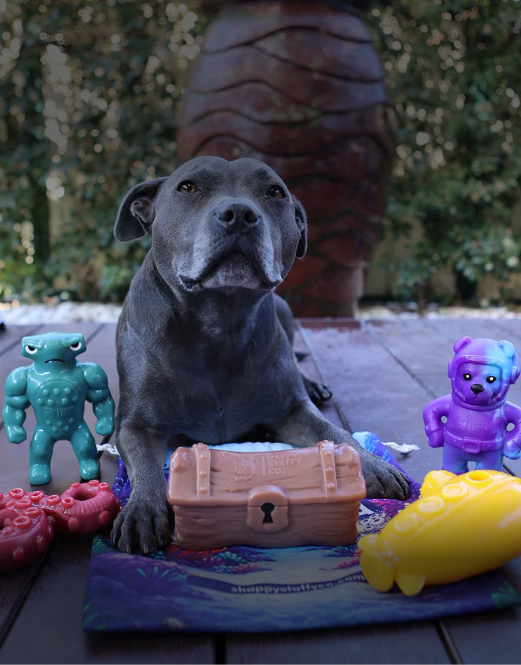 Chewzilla® Deep Sea Mission – Happy Staffy Co.