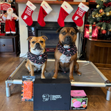 Ultimate Christmas Bundle