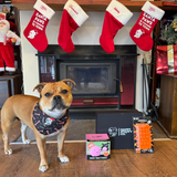 Ultimate Christmas Bundle