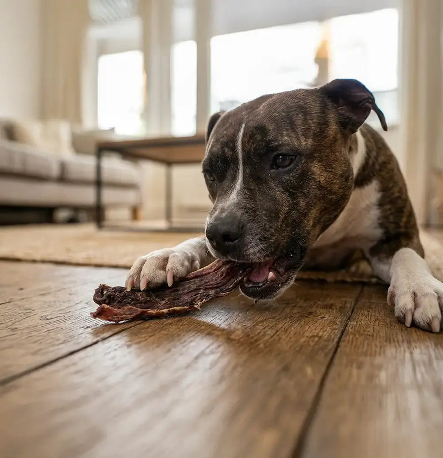 Kangaroo Jerky