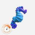 Seahorse Splash