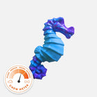 Seahorse Splash