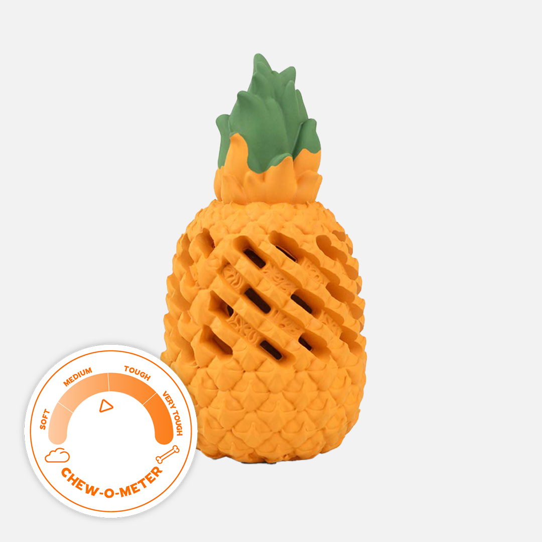 Pineapple Treat Dispenser