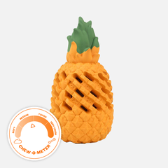 Pineapple Treat Dispenser