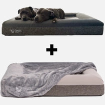 Two dogs lying on an Orthopedic Memory Foam Bed + Pullover Blanket Cover bundle.