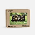 The Rescue Pack Puzzle