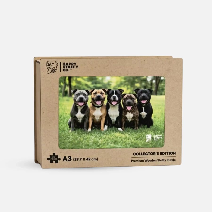 The Rescue Pack Puzzle