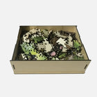 The Rescue Pack Puzzle