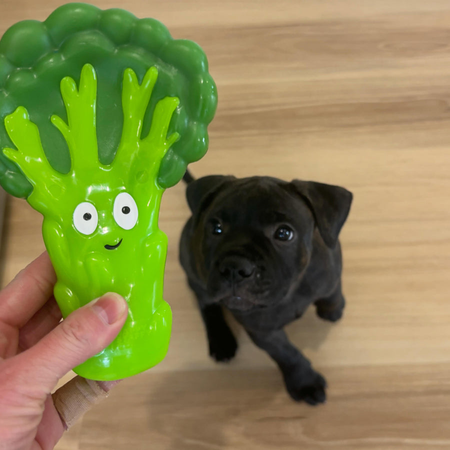 Broccoli Crunch photo 9