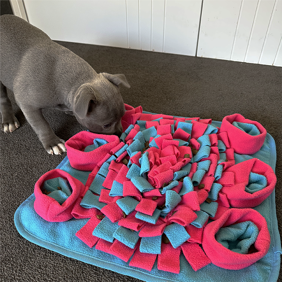 Sniff'n'Seek Snuffle Mat