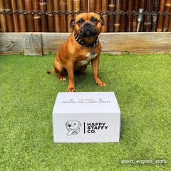 Happy Staffy Natural Treat Box