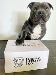 Happy Staffy Natural Treat Box