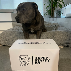 Happy Staffy Natural Treat Box