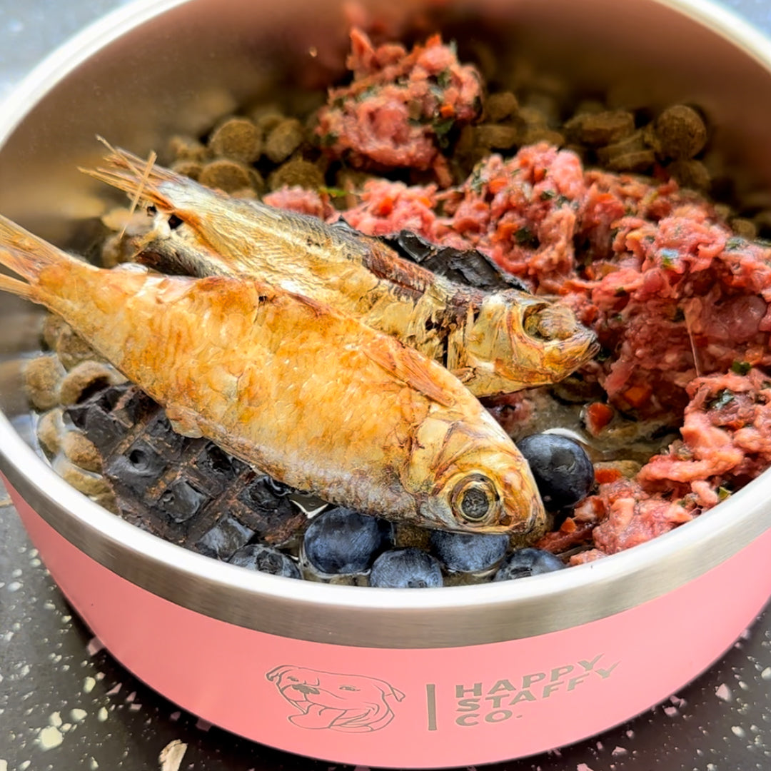 Wild Caught Sardines