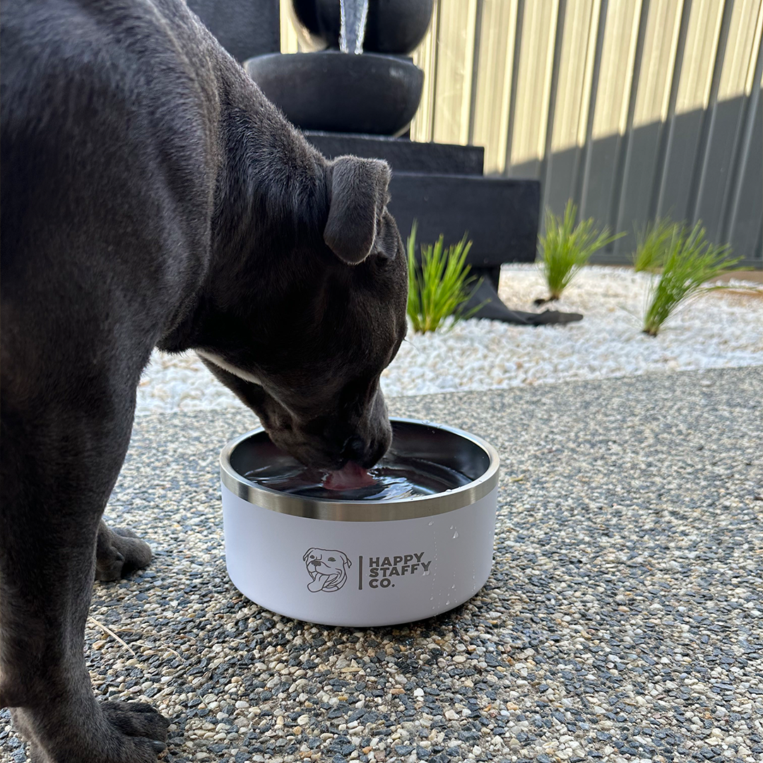 Happy Staffy Water Bowl