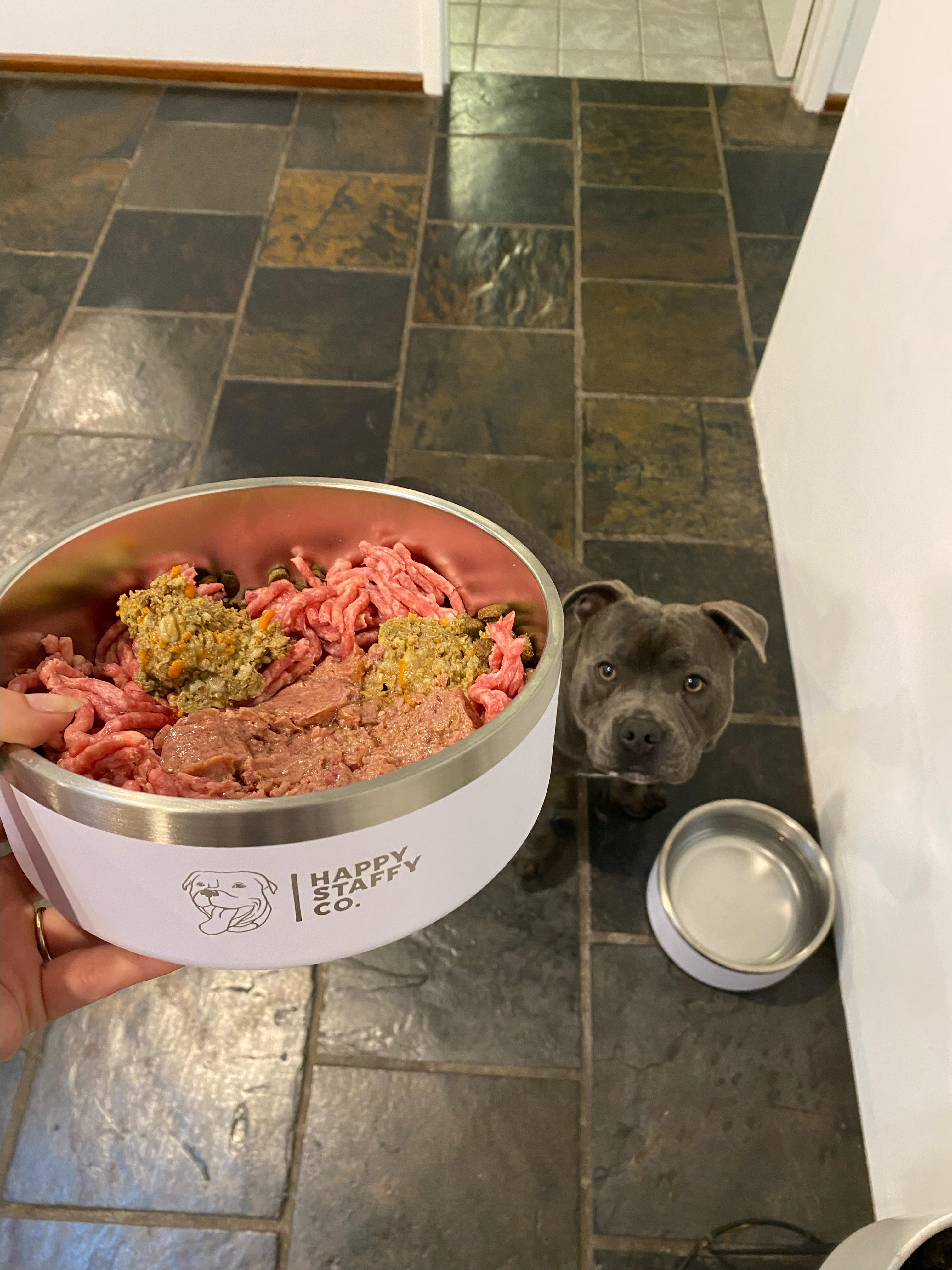 Food & Water Bowl Combo
