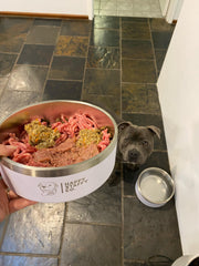 Food & Water Bowl Combo